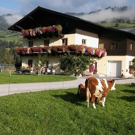 Rieserhof/Fam. Meißnitzer Taxenbach Exterior foto