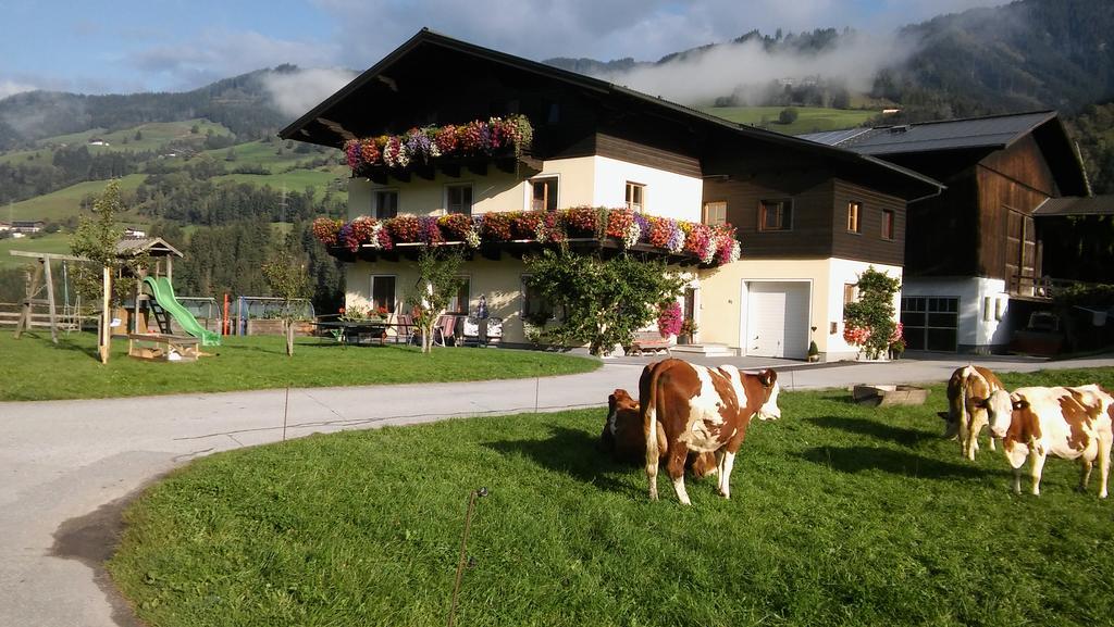 Rieserhof/Fam. Meißnitzer Taxenbach Exterior foto